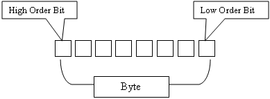 The bits of a byte