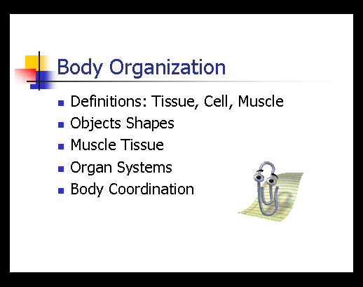 Human Body Structure - Slide 2