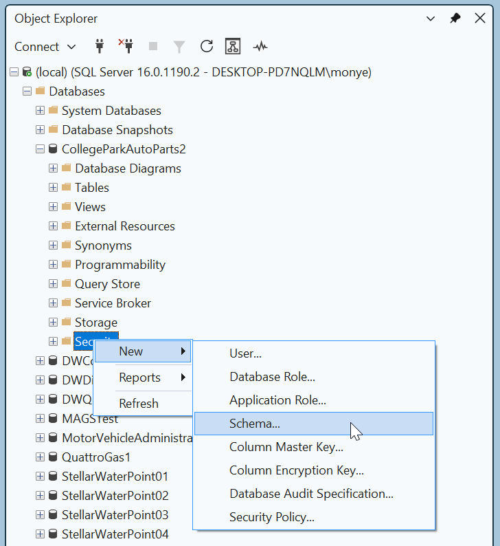 Object Explorer - Security - Schema