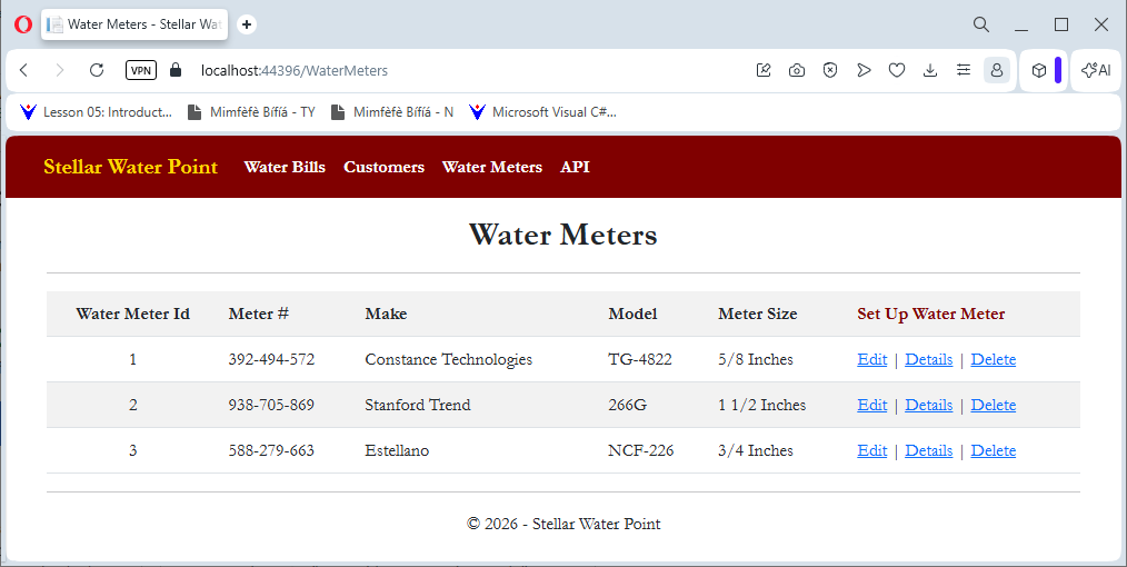 Stellar Water Point - Water Meters