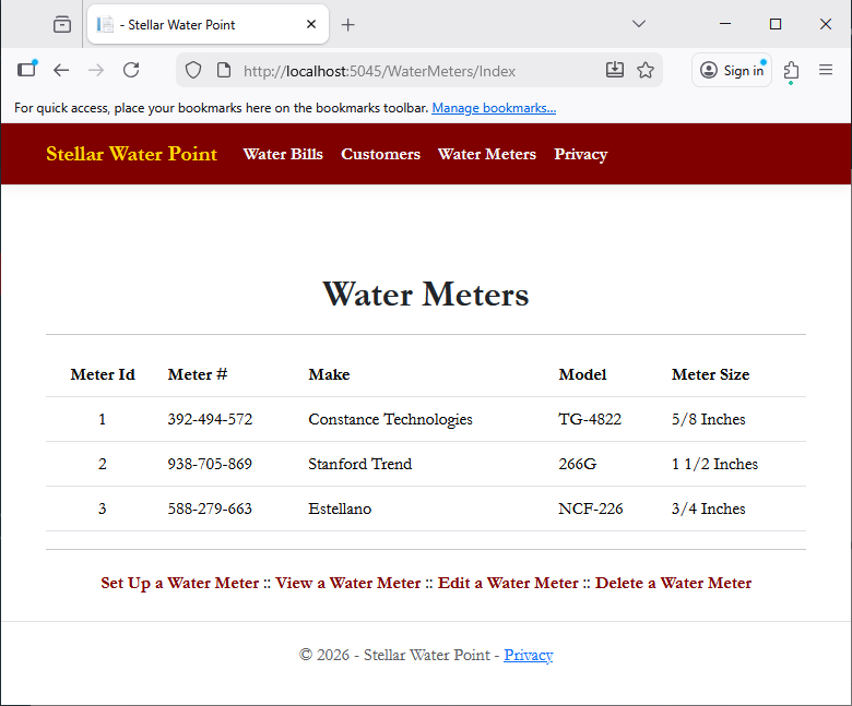 Stellar Water Point - Water Meters