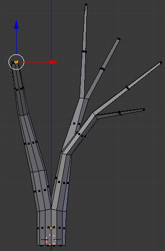 Modeling a Tree - Rotating a Face