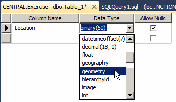 Spatial Type Columns