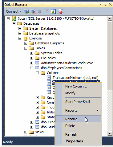 Renaming a Column
