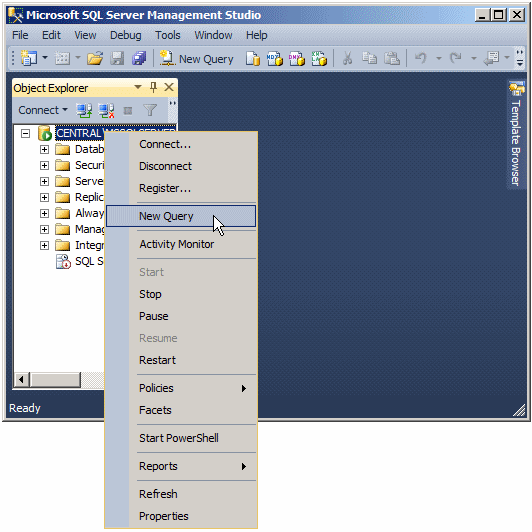 Microsoft SQL Server Management Studio
