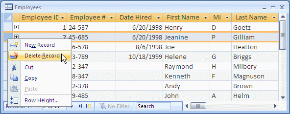 Deleting a Record
