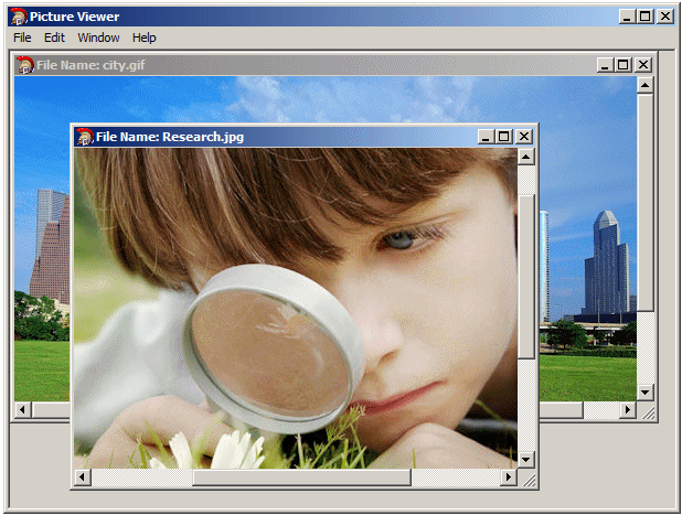 Picture Viewer