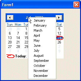 The Month Calendar control displaying the list of months