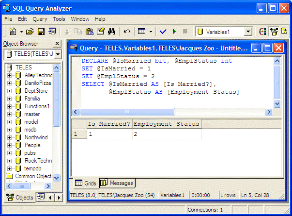 Integer Variables